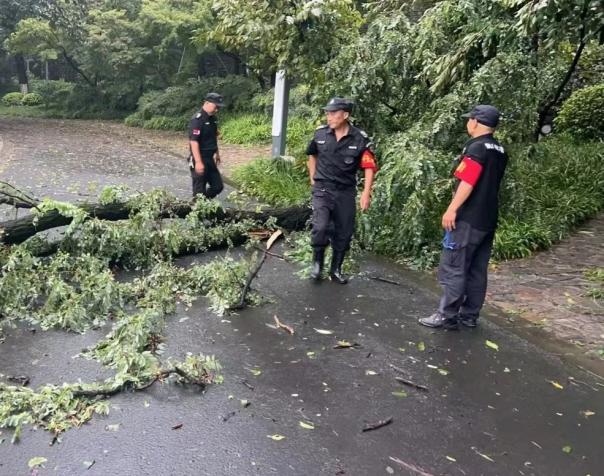 C:/Users/BA/Desktop/風雨過后南京保安迅速行動，恢復安“寧”面貌/7.jpg7
